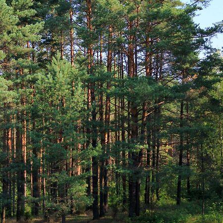 Apartamentai Laima Druskininkai Bagian luar foto